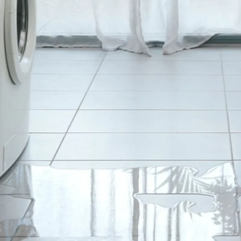 Appliance Leak Cleanup in Snohomish, WA