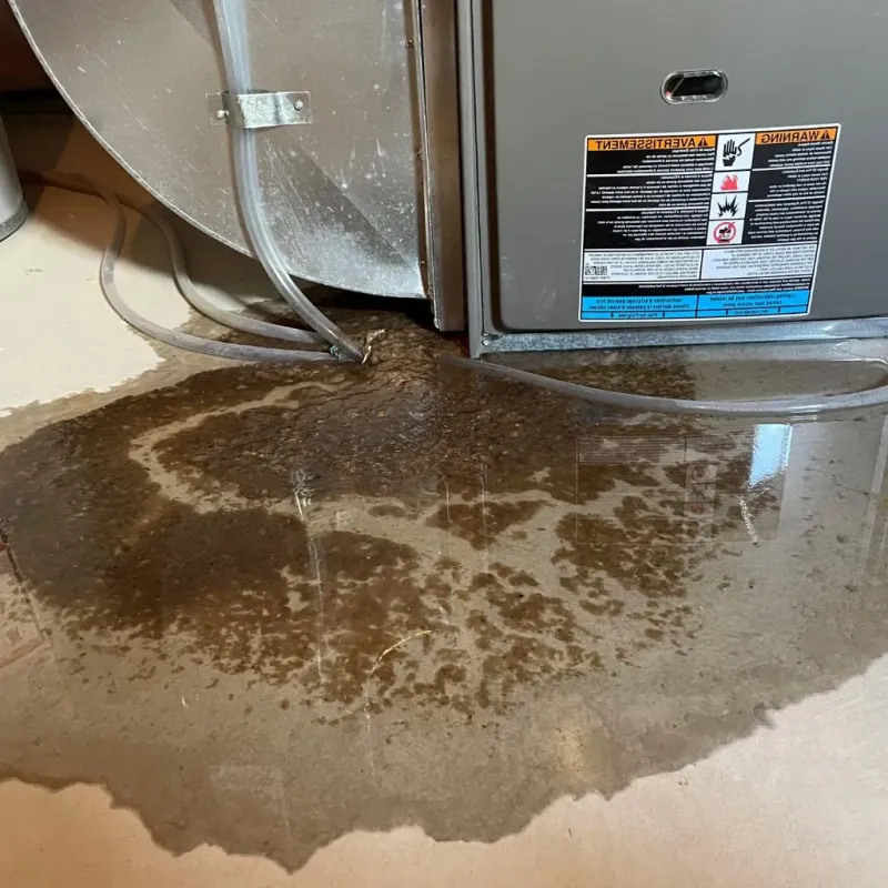 Pipe Burst and Leak Restoration in Snohomish, WA